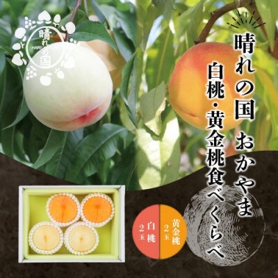 晴れの国おかやま　白桃・黄金桃食べ比べ4玉【8月下旬～9月上旬発送】