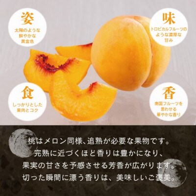 晴れの国おかやま　白桃・黄金桃食べ比べ4玉【8月下旬～9月上旬発送】
