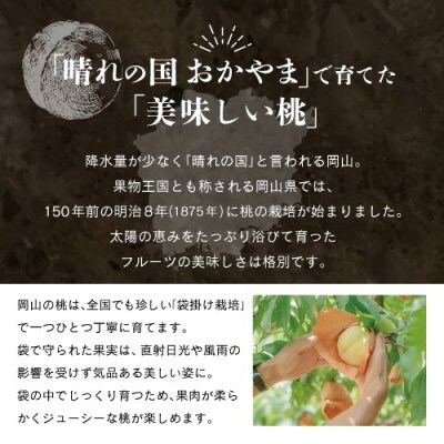 晴れの国おかやま　白桃・黄金桃食べ比べ4玉【8月下旬～9月上旬発送】