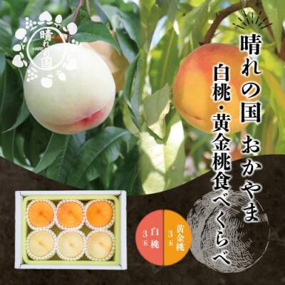 晴れの国おかやま　白桃・黄金桃食べ比べ6玉【8月下旬～9月上旬発送】