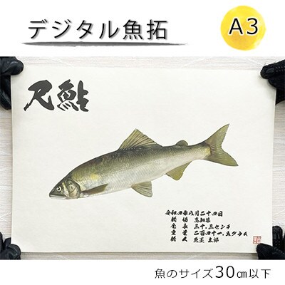 デジタル魚拓 A3サイズ【オーダーメイド×和紙】