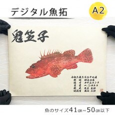デジタル魚拓 B3サイズ【オーダーメイド×和紙】 | お礼品詳細