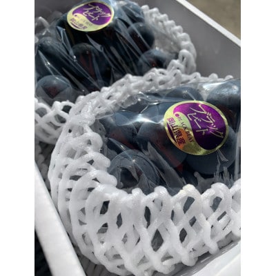 岡山県産　ブラックビート　2kg(3～5房)