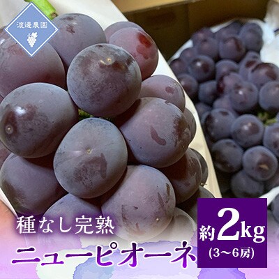 ●先行予約2026年8月から順次発送　岡山県産　種なし完熟ニューピオーネ3房～6房(合計約2kg)