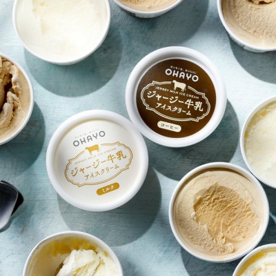 オハヨー乳業 ジャージー牛乳アイスクリームギフト120ml×10個 ミルクアイス OHAYO