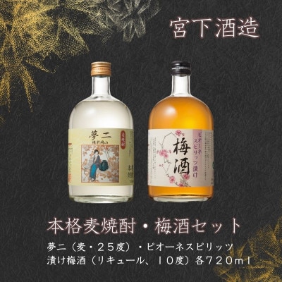 宮下酒造の本格麦焼酎・梅酒セット　720ml×2本