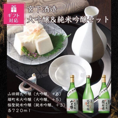 【ギフト包装対応】宮下酒造の大吟醸・純米吟醸セット　720ml×3本