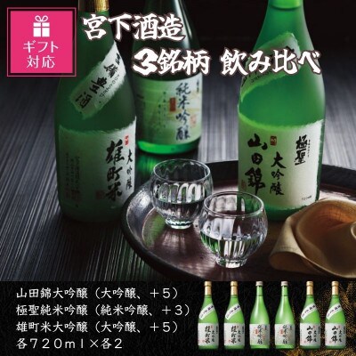 【ギフト包装対応】宮下酒造の大吟醸・純米大吟醸3種飲み比べセット　720ml×6本