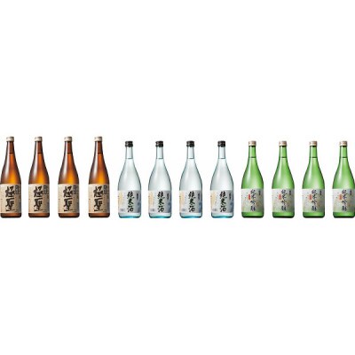 【お歳暮のし付き】宮下酒造の清酒3種　720ml×12本セット