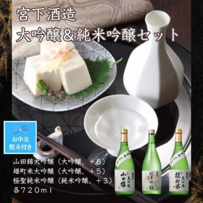 【お中元のし付き】宮下酒造の大吟醸・純米吟醸セット　720ml×3本