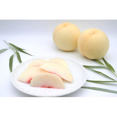 2026年発送　先行予約　岡山白桃ロイヤル(1箱3玉)800g