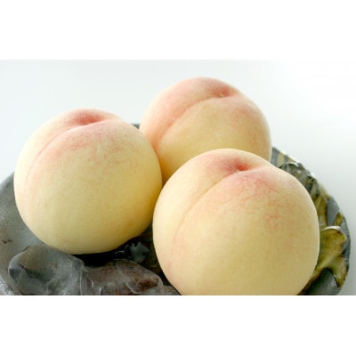 2026年発送　先行予約　岡山白桃(晩生)ロイヤル【1箱3玉】