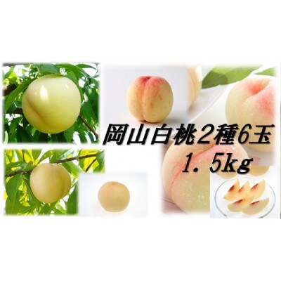 岡山白桃食べ比べ　早生種2種6玉
