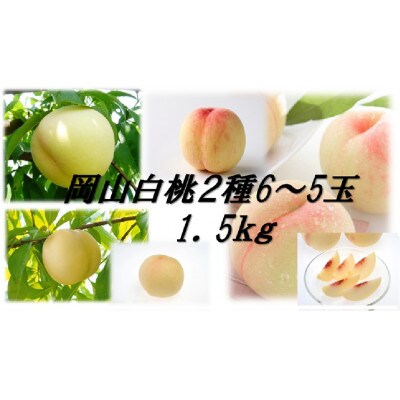 岡山白桃食べ比べ　晩生2種5～6玉　1.5キロ