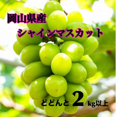 【大人気!】岡山県産シャインマスカット ご家庭用2kg箱 4～6房入り