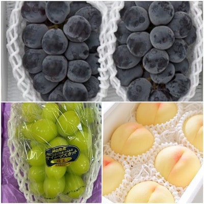 【発送月固定定期便】岡山県産  フルーツ定期便全3回