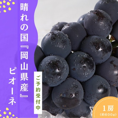 ピオーネ1房(約600g)岡山県産