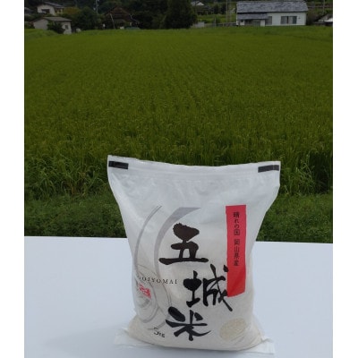 岡山県産　五城米(精米)　5kg×1