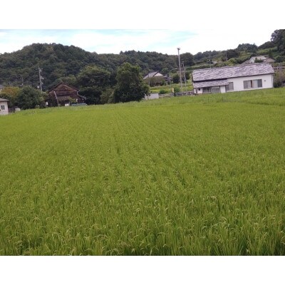 岡山県産　五城米(精米)　2kg×3