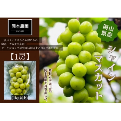 シャインマスカット1房　化粧箱入り