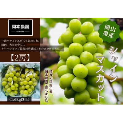 シャインマスカット2房　化粧箱入り