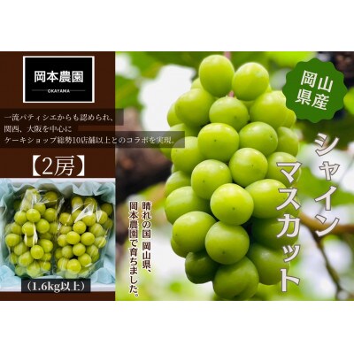 シャインマスカット2房　化粧箱入り
