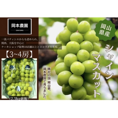 シャインマスカット3房～4房　化粧箱入り