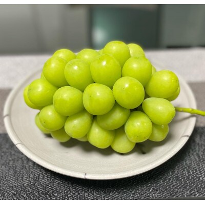 シャインマスカット3房～4房　化粧箱入り