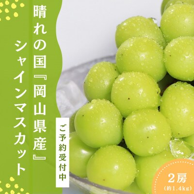 シャインマスカット2房(約1.4kg)岡山県産