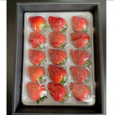 岡山市産 朝摘みイチゴ 「ゆめのか」 贈答用 化粧箱入り 12～15粒 450g×1パック
