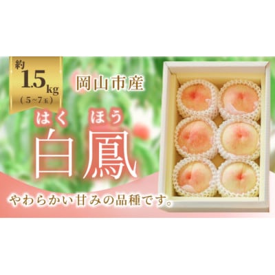 《2026年発送》岡山市産 桃 白鳳 1.5kg 5~7玉