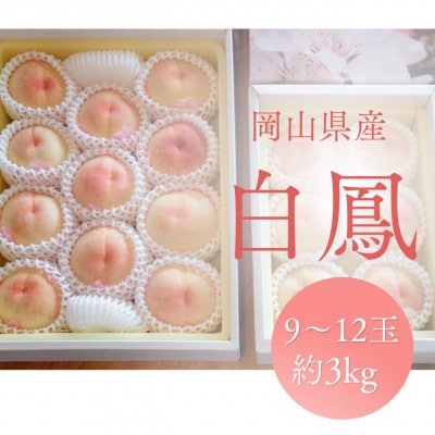《2025年発送》岡山県産 桃 白鳳 約3kg 9～12玉