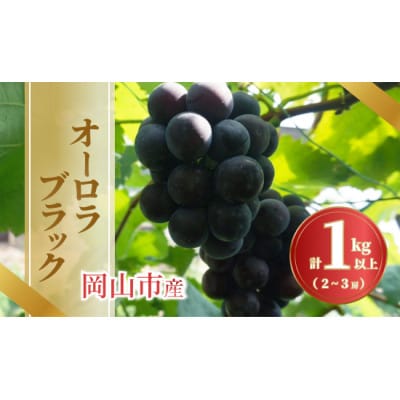 【2026年発送】岡山市産オーロラブラック 2～3房 計1kg以上