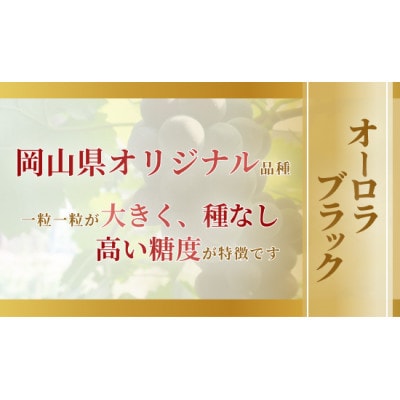 【2026年発送】岡山市産オーロラブラック 2～3房 計1kg以上