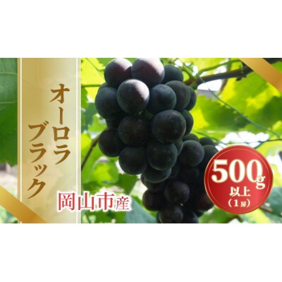 【2026年発送】岡山市産オーロラブラック 500g以上 1房入