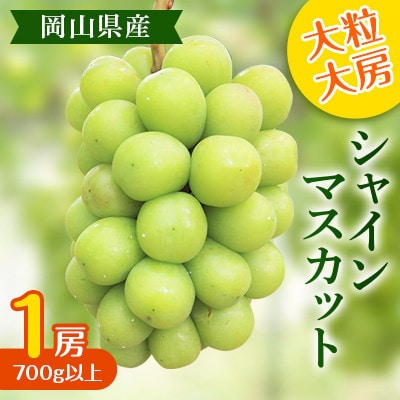 【2025年度発送分】黒川農園 大粒 大房 シャインマスカット 1房 700g以上 岡山県産