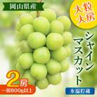氷温貯蔵【2025年度発送分】大粒 大房 シャインマスカット 2房 (一房800g以上) 岡山県産