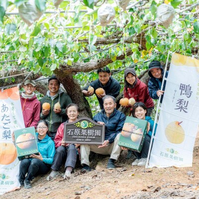 【石原果樹園】 純生あたご梨ドライフルーツ　10袋(1袋30g)(AD30-10)