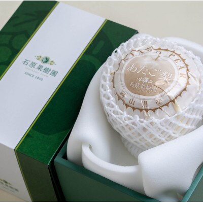 あたご梨 1玉 贈答箱 赤秀 約1.3kg玉(A1-13)