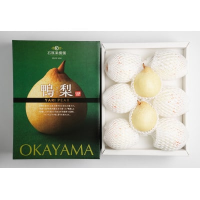 ヤーリー4kg化粧贈答箱赤秀 大玉6～10玉(YRK-40B)