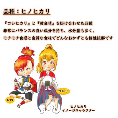 《岡山県産お米_令和7年産》【ヒノヒカリ】玄米30kg
