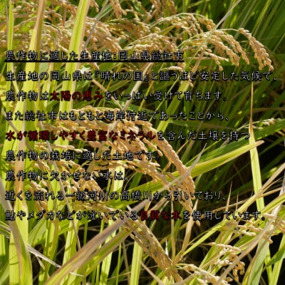 《岡山県産お米_令和7年産》【ヒノヒカリ】玄米30kg