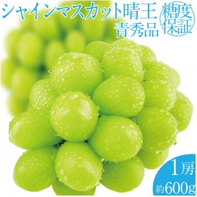 2026N s\ VC}XJbg  1[ 600g RY 9`10