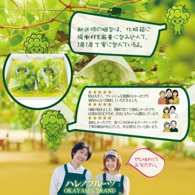 先行予約  木熟ぶどう ハレノシャイン シャインマスカット晴王 2房約1.2kg 9月～11月発送