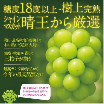 【発送月固定定期便】9月10月 木熟ぶどう プレミアムシャインマスカット晴王 1房約800g全2回