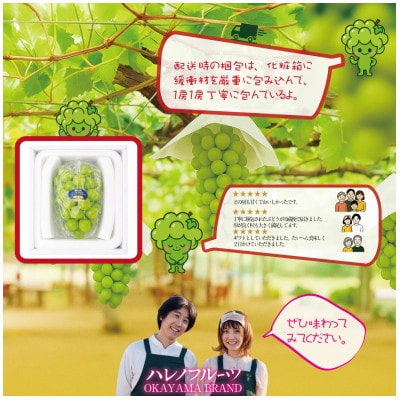 【発送月固定定期便】9月10月 木熟ぶどう プレミアムシャインマスカット晴王 1房約800g全2回