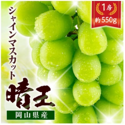 シャインマスカット晴王　1房　約550g　岡山県産　種無しで皮ごと食べられる