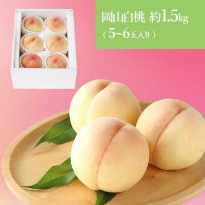 【先行受付】2025年6月以降発送開始 岡山の白桃 5～6玉(約1.5kg)