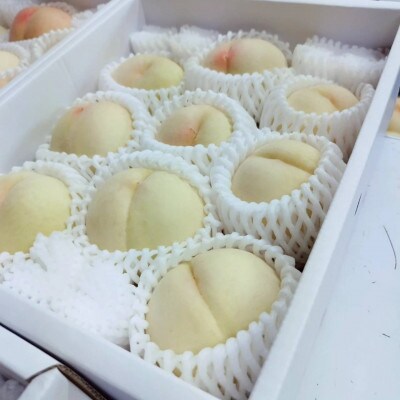 岡山白桃　1.5kg箱(6玉前後)
