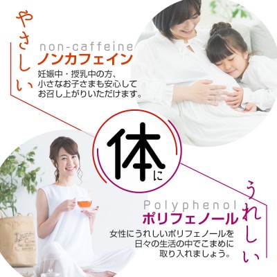 有機ルイボスティー 100包 x 3個セット